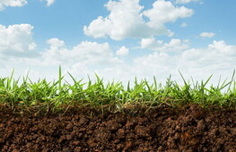 FAO report on the state of soils published