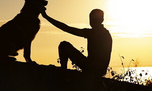 La connessione tra uomo e cane