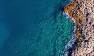 World Oceans Day 2023