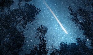 Twinkle twinkle little star 