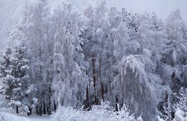 Bollettino neve in Italia, migliora la situazione al Nord