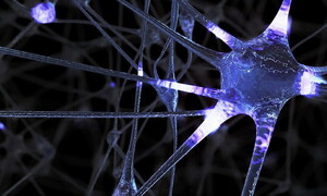 Dolce e faticoso far niente