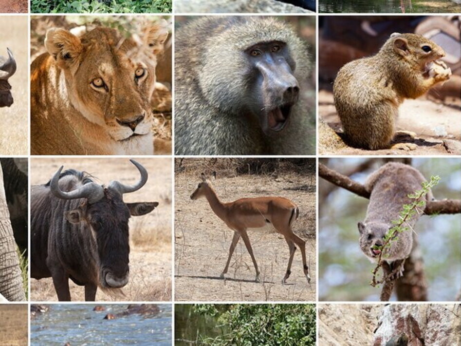 International Day for Biological Diversity 2023