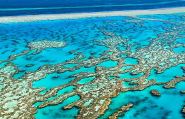 Coral reefs, 14% of corals lost