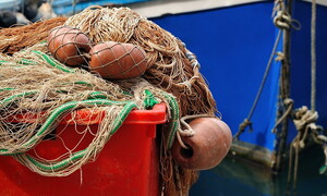 First Sustainable Fishing Week in Italy