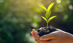 Giornata Mondiale dell’Ambiente 2021