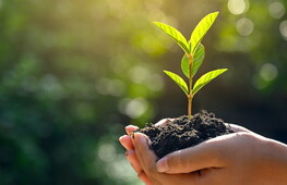 World Environment Day 2021