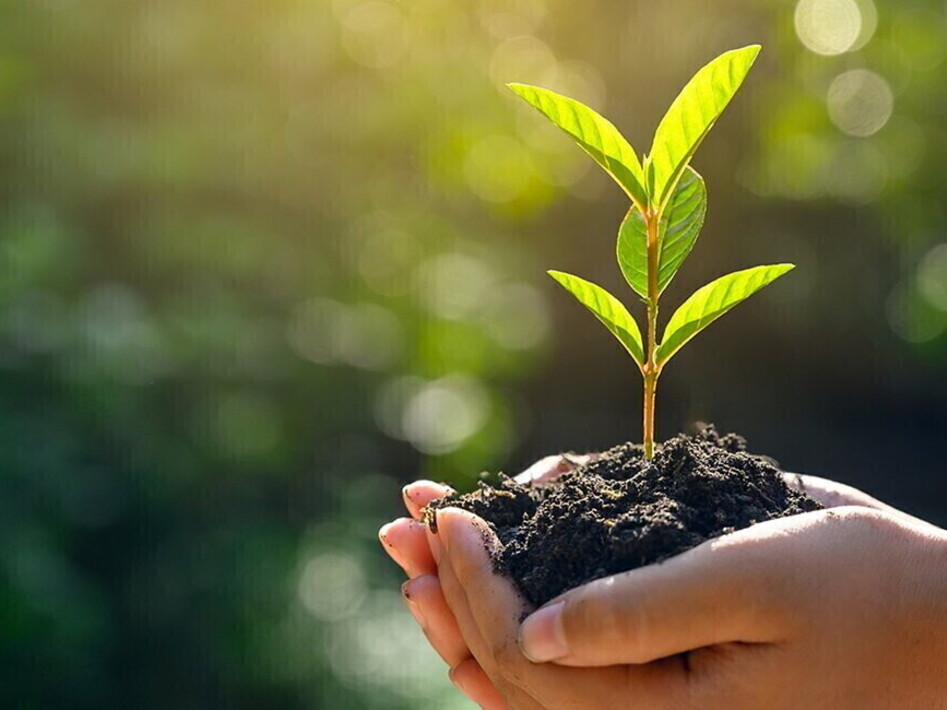 World Environment Day 2021