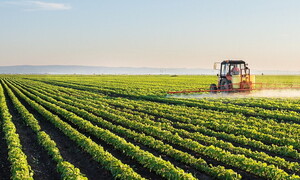 “Stop pesticides 2021” dossier published