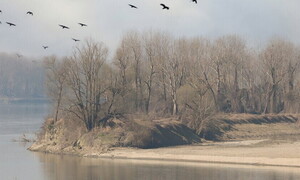 Drought in Italy: Legambiente proposes strategy for action 