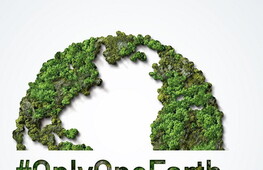 Giornata Mondiale dell’Ambiente