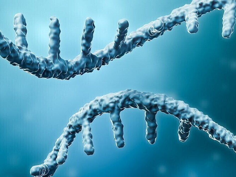 Un microNobel per la medicina