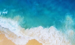 World Oceans Day 2021