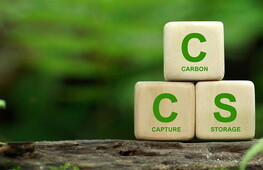 Nuovo traguardo nella fissazione della CO2