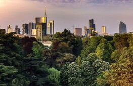 Ecosistema urbano 2020