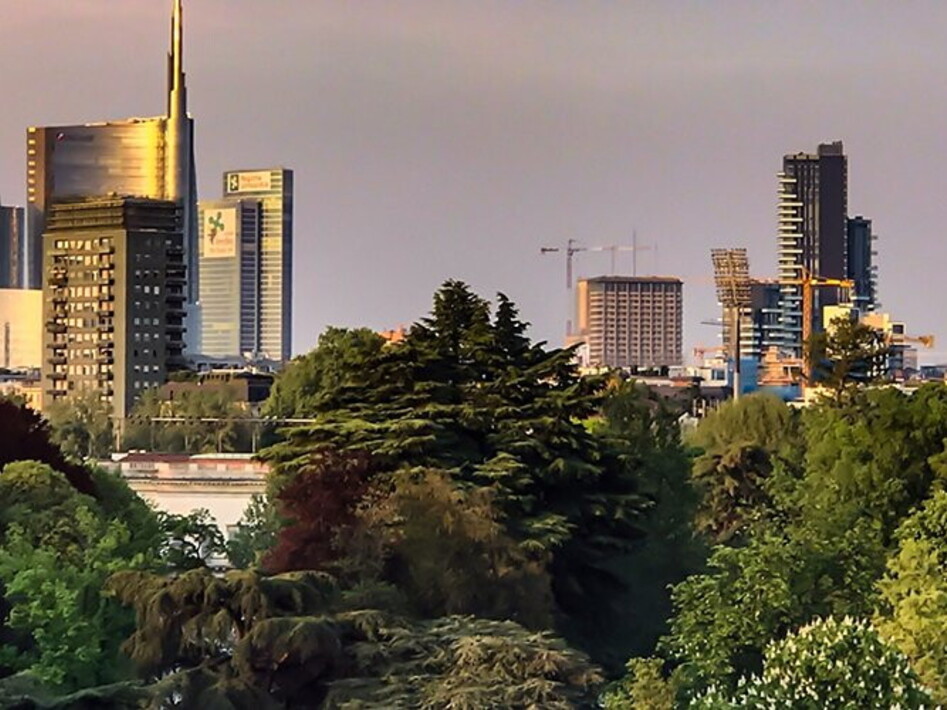 Urban ecosystem 2020