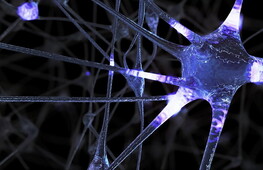 Dolce e faticoso far niente