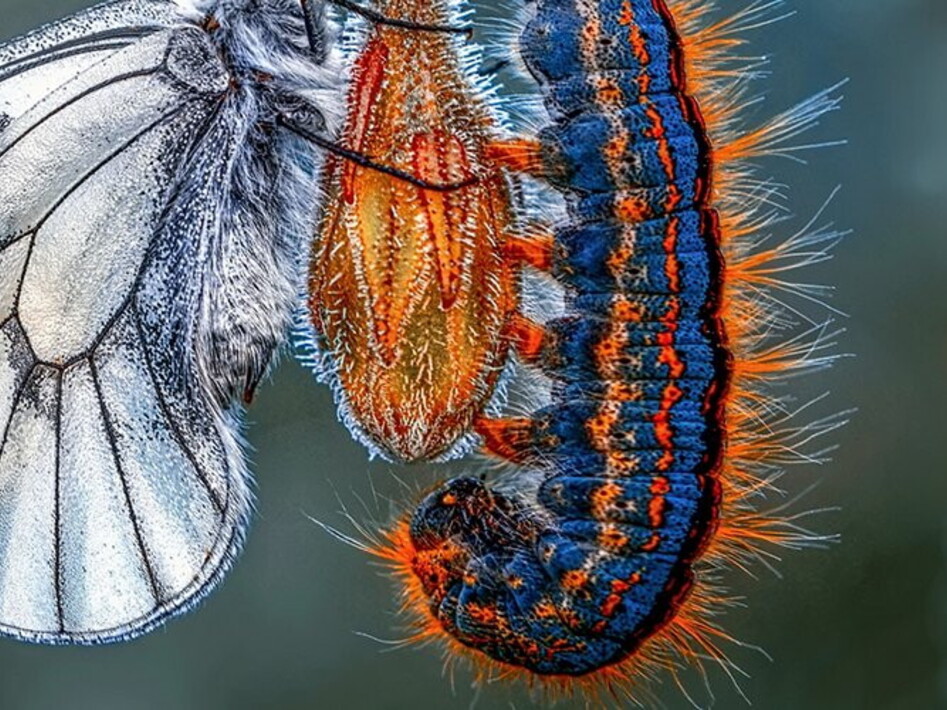 Geneva Conference: how it ended