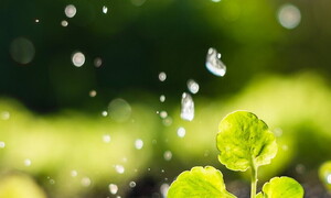 World Water Day 2021