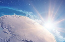 Millions of icefish nests discovered in Antarctica