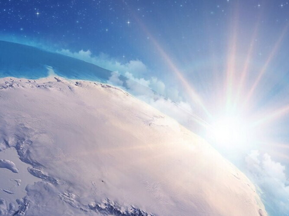 Scoperti milioni di nidi di pesci di ghiaccio in Antartide