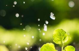 World Water Day 2021