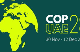 Aggiornamenti dalla COP28