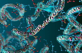 Has the protein of youth been discovered?