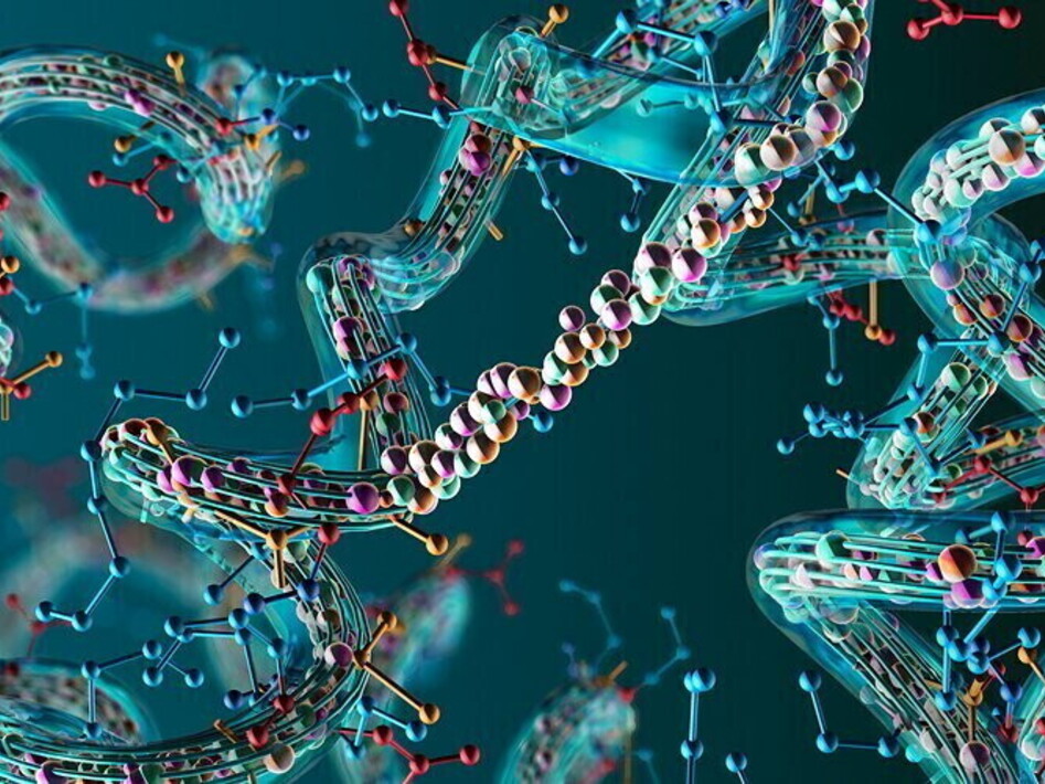 Scoperta la proteina della giovinezza?