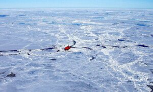 Which is coldest, the Arctic or Antarctica?