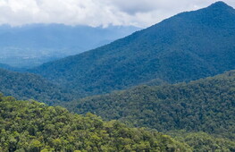 Bird thought to be extinct sighted in Borneo