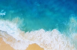 World Oceans Day 2021