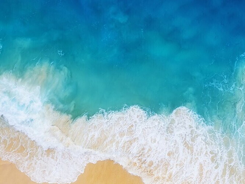 World Oceans Day 2021