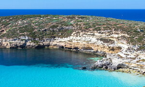 International Mediterranean Day