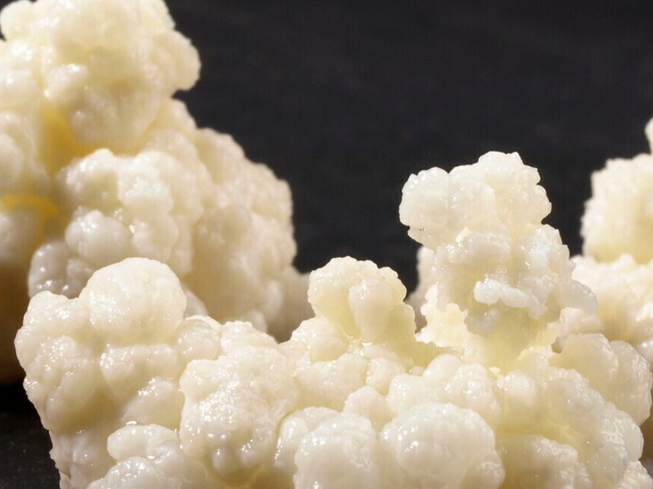 La verità sul Fantasma Formaggino