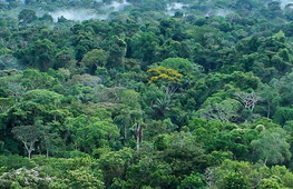 Il continente più ricco