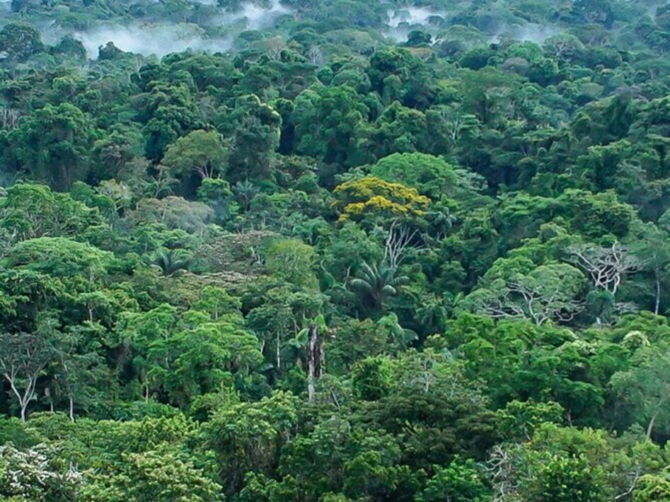 The richest continent