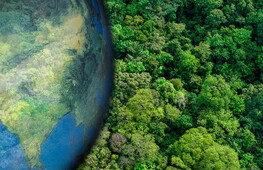 Giornata Mondiale della Terra 2024