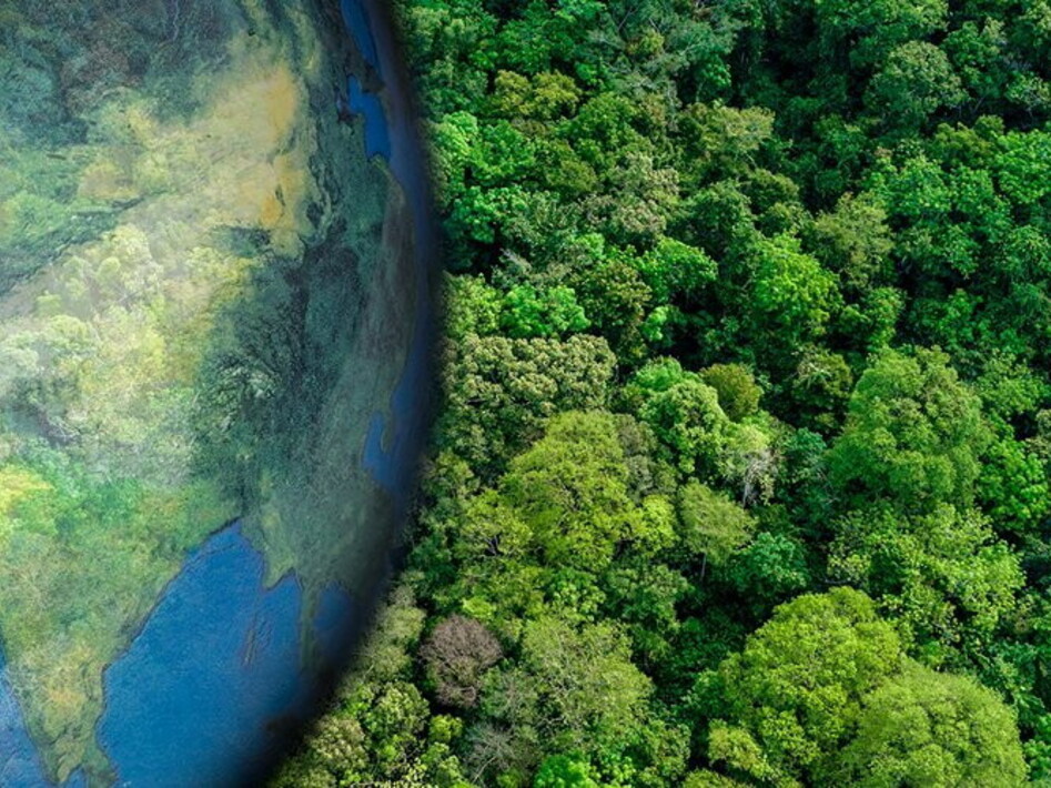 Giornata Mondiale della Terra 2024