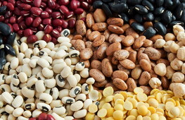 Leguminous plants make agriculture sustainable