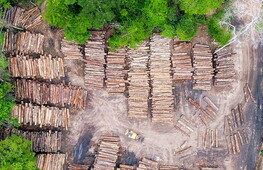fao-forest-loss-is-slowing-down