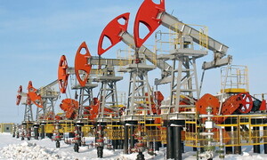 Conoscere il petrolio