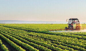 Pubblicato il dossier "Stop pesticidi 2021"