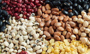 Le leguminose rendono sostenibile l'agricoltura