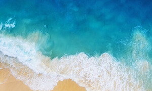 World Oceans Day 2021