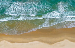 Scoperta una nuova specie di squalo