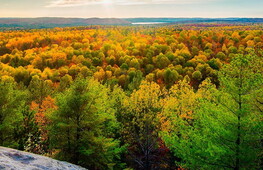 novembre-raggiunto-record-temperatura