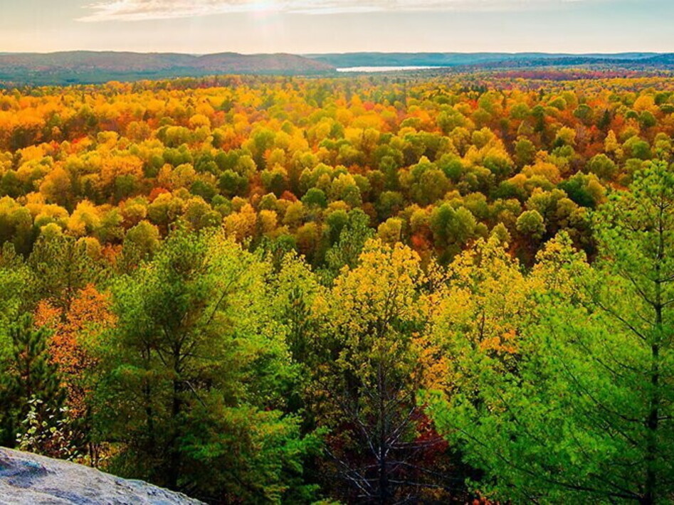 New record temperature reached in November 