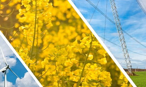 Energy and renewable sources: what is the current status? 