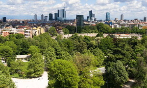 6,6 milioni di alberi contro l'inquinamento urbano